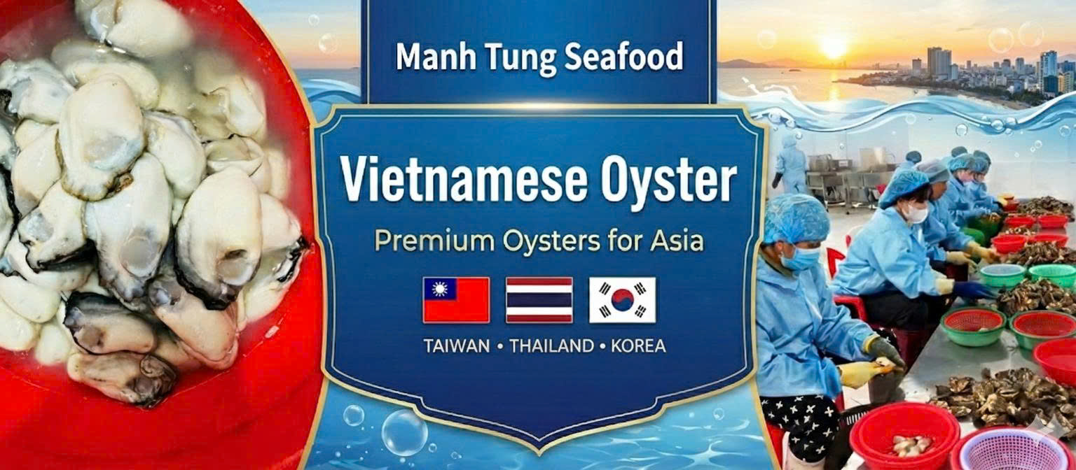 Why Quang Ninh Oysters are the Best Choice for the Asian Market